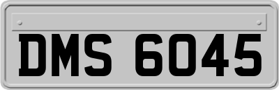 DMS6045