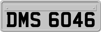 DMS6046