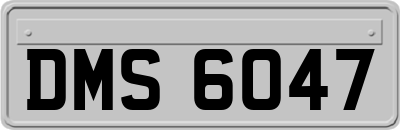 DMS6047