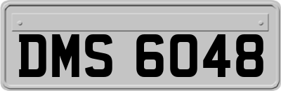 DMS6048