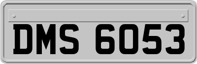 DMS6053