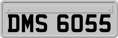 DMS6055