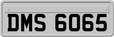 DMS6065