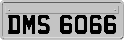 DMS6066