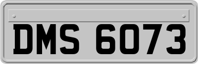 DMS6073