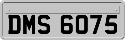 DMS6075