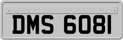 DMS6081