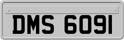 DMS6091