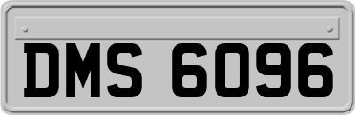 DMS6096
