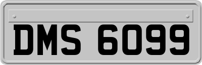 DMS6099