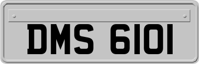 DMS6101