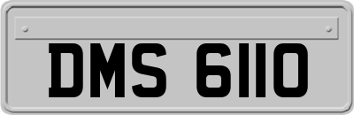 DMS6110