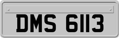 DMS6113