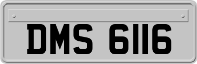 DMS6116