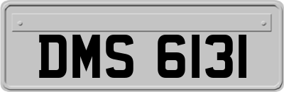 DMS6131