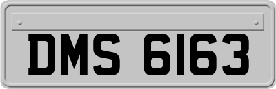 DMS6163