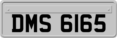 DMS6165