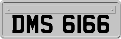 DMS6166