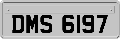 DMS6197