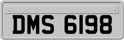 DMS6198