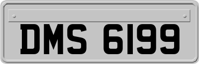 DMS6199