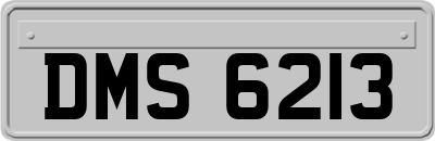 DMS6213