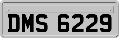 DMS6229