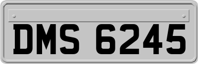 DMS6245