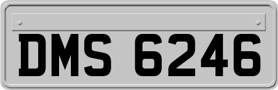 DMS6246