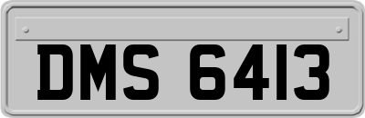 DMS6413