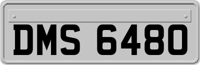 DMS6480