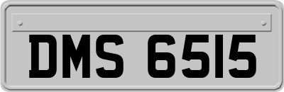 DMS6515