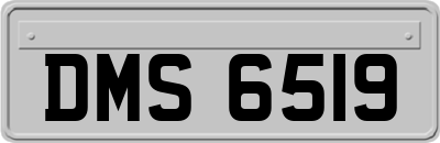 DMS6519