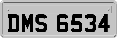 DMS6534