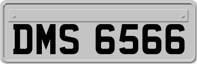 DMS6566