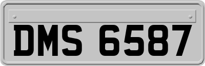 DMS6587