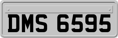 DMS6595