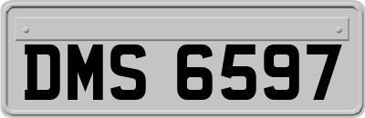 DMS6597