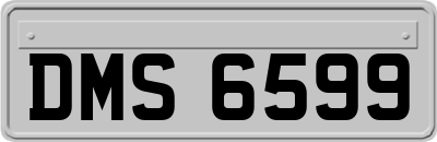 DMS6599