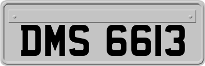 DMS6613