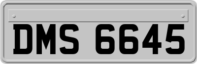 DMS6645