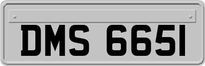 DMS6651