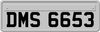 DMS6653