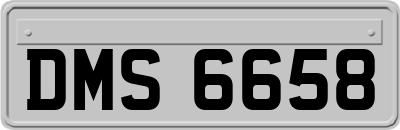 DMS6658