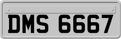 DMS6667