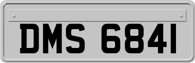 DMS6841