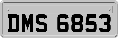 DMS6853