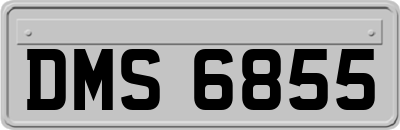 DMS6855