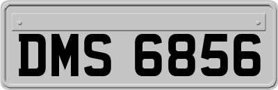 DMS6856