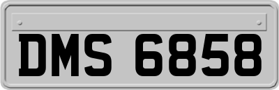 DMS6858